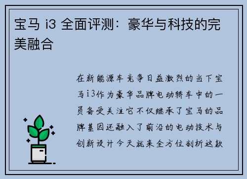 宝马 i3 全面评测：豪华与科技的完美融合