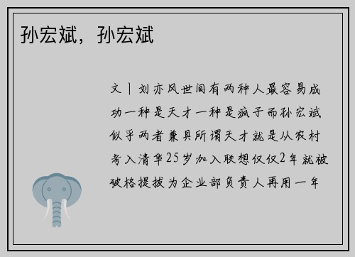 孙宏斌，孙宏斌